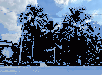 ที่ดินว่างเปล่าหลุดจำนอง ธ.ธนาคารกสิกรไทย สมุทรสงคราม อัมพวา บางนางลี่